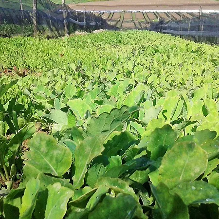 I Poderi Çiftlik konaklama