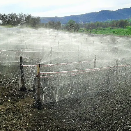 Agroturismo I Poderi